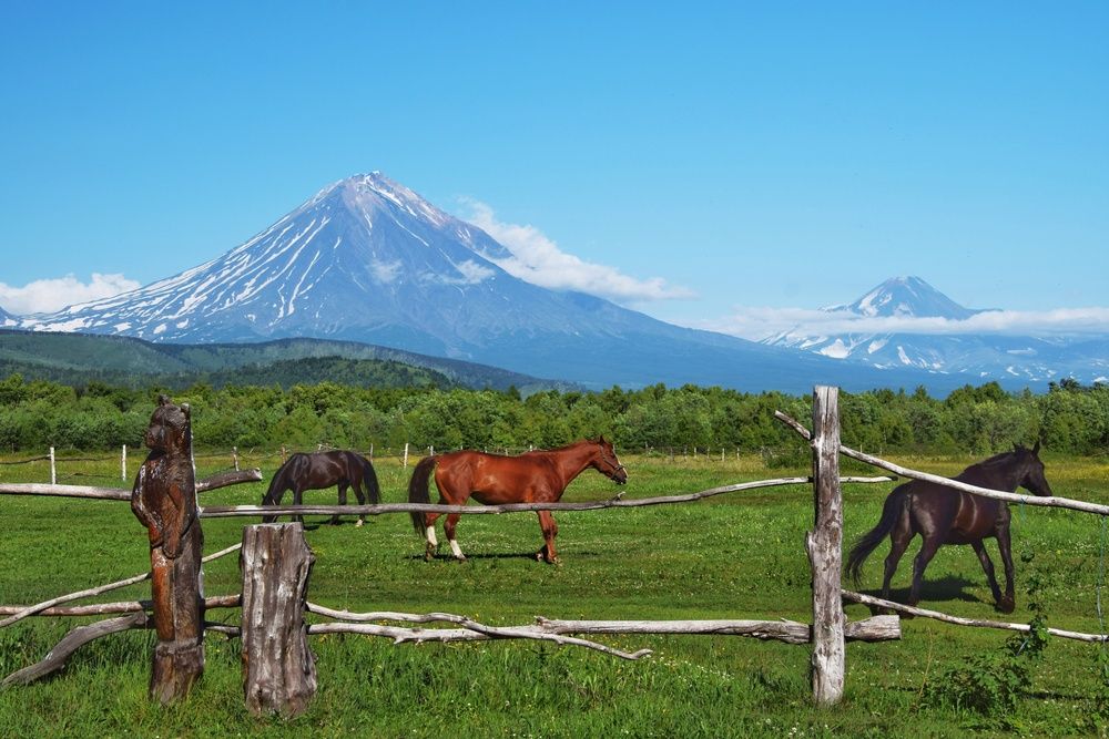 Фотография автора Алексей Новиков