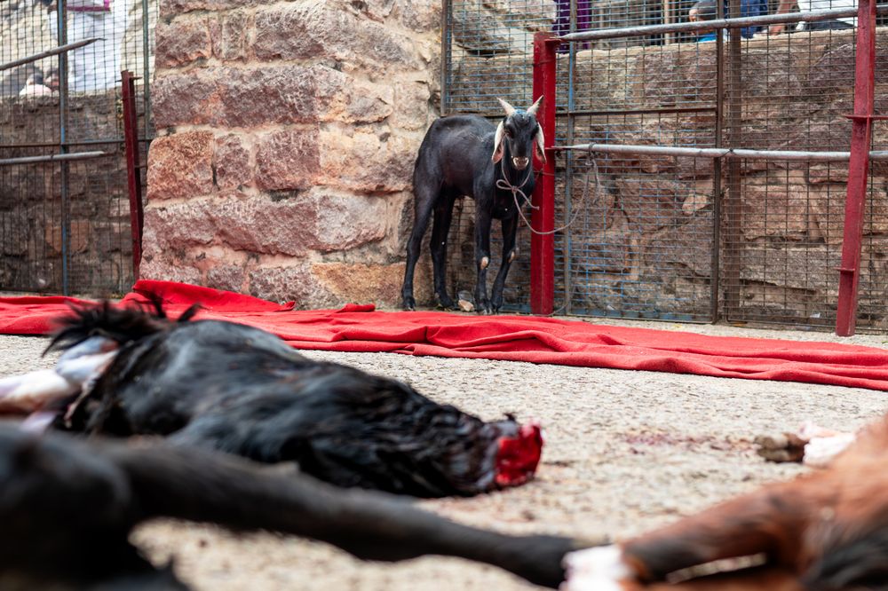 Фотография автора Vikram Aditya Reddy