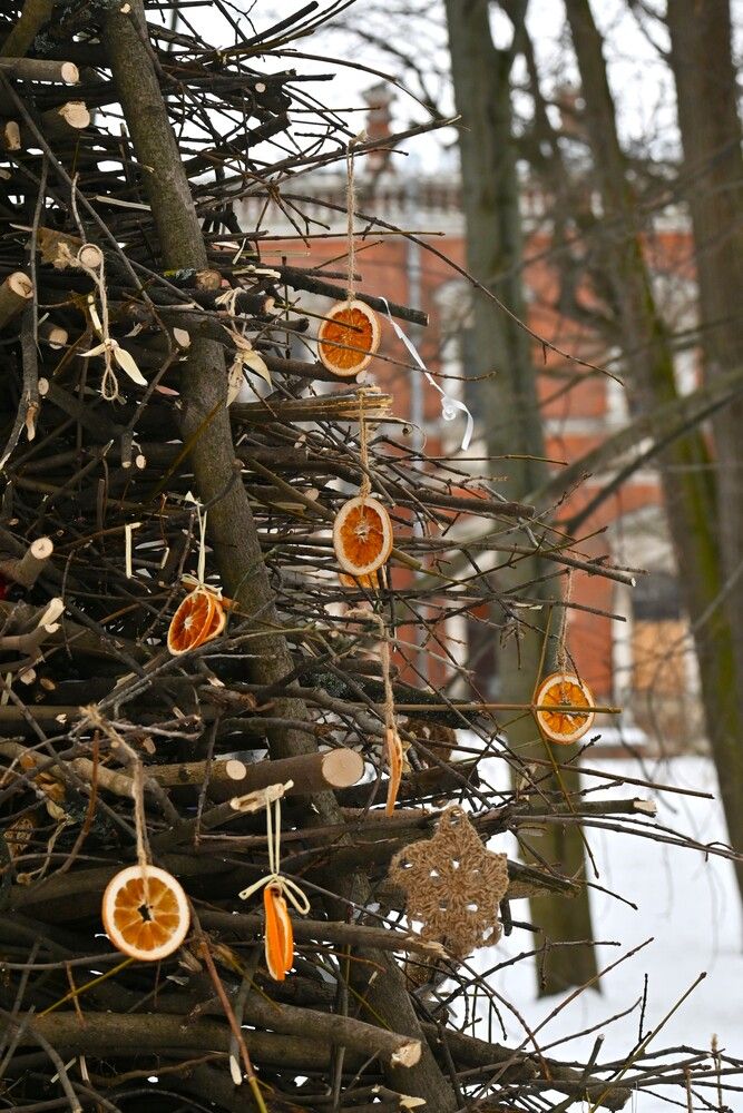 Фотография автора IRINA FILIPPOVA