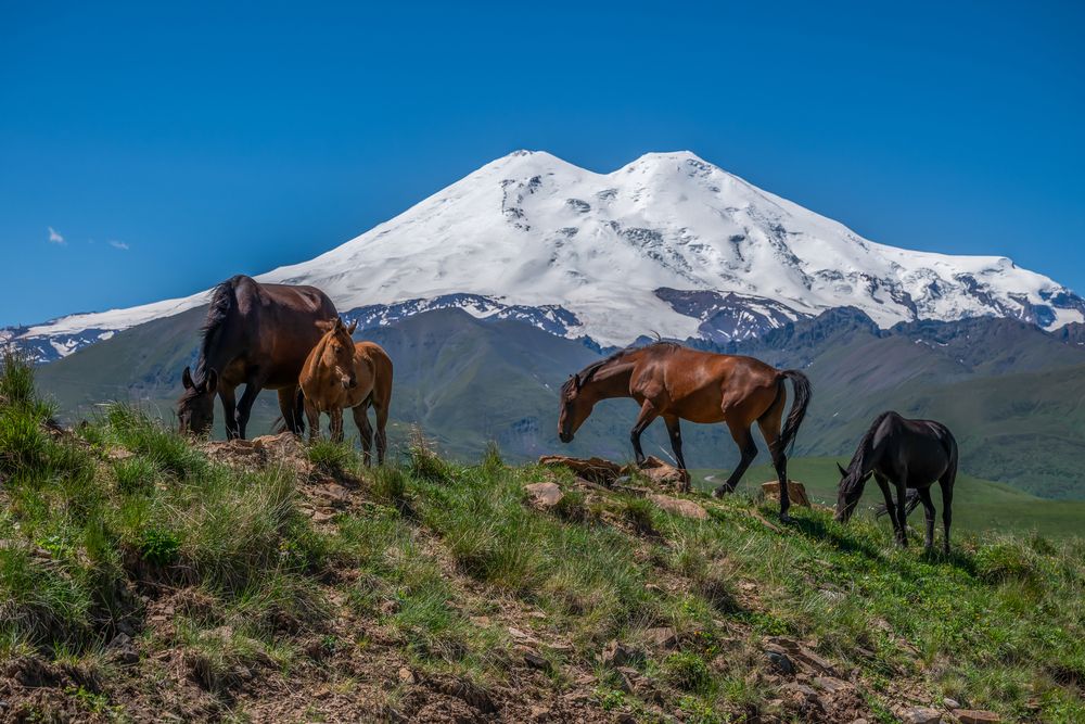 Фотография автора Александр Левин