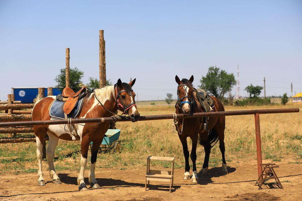 Фотография автора G Shish