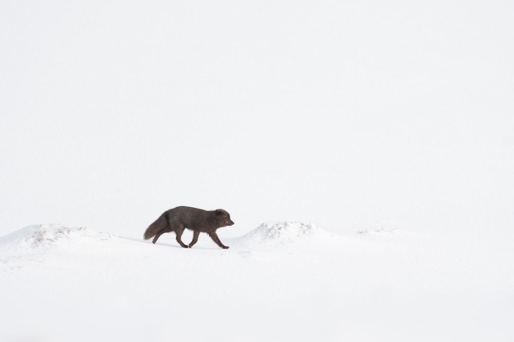 Фотография автора Karthik Subramaniam