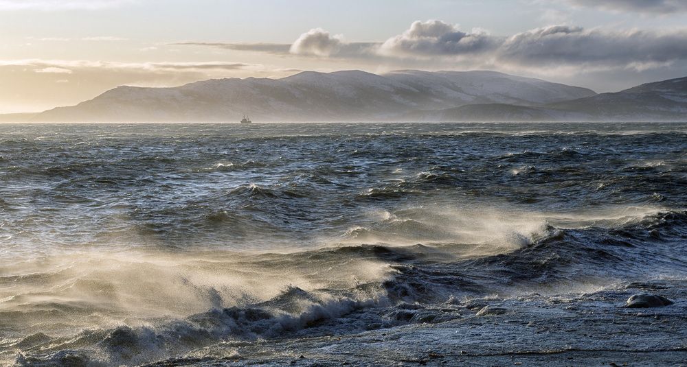 Photograph by Светлана Гореликова