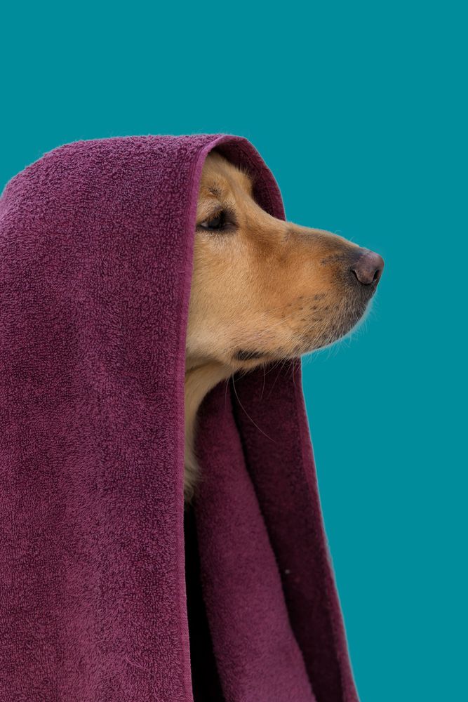 Photograph by Демьян Лопатов