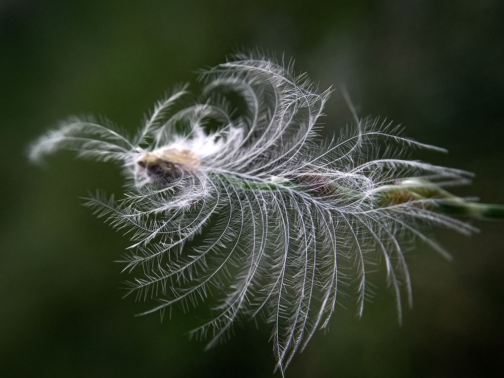 Photograph by A .Thimira dinisuru