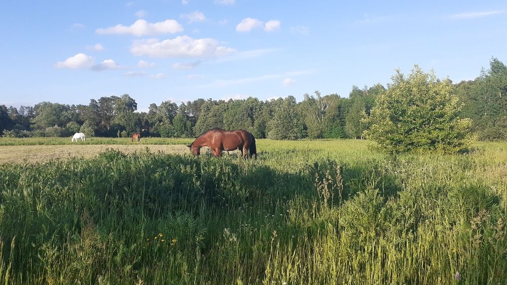 Photograph by Елена Лещева