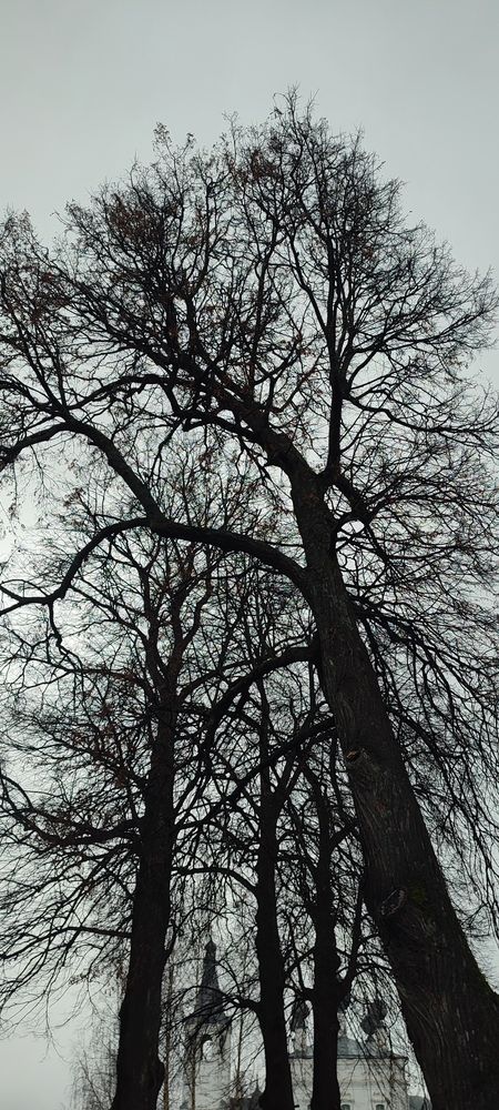Photograph by Григорий Полосин