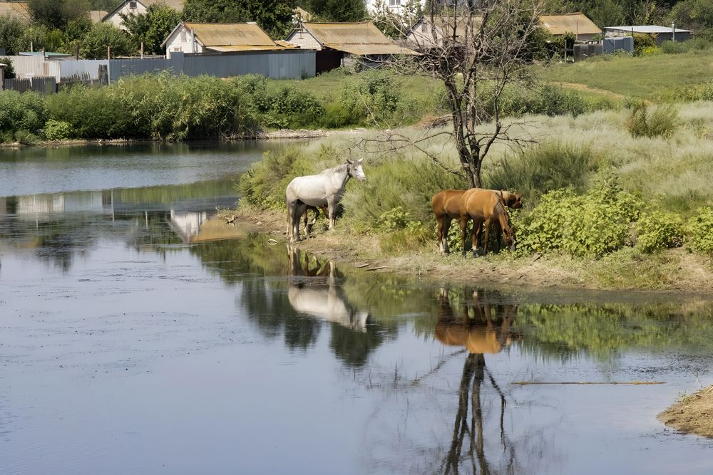 Photograph by Ирина Шибитова