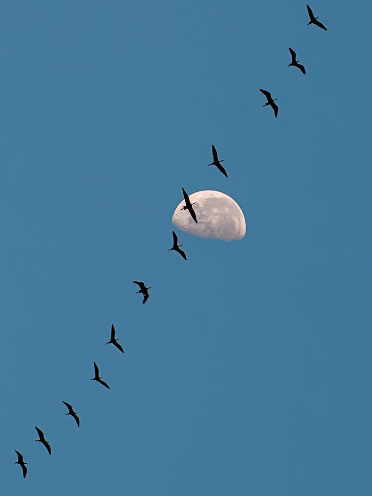 Photograph by Abhishek Pradhan