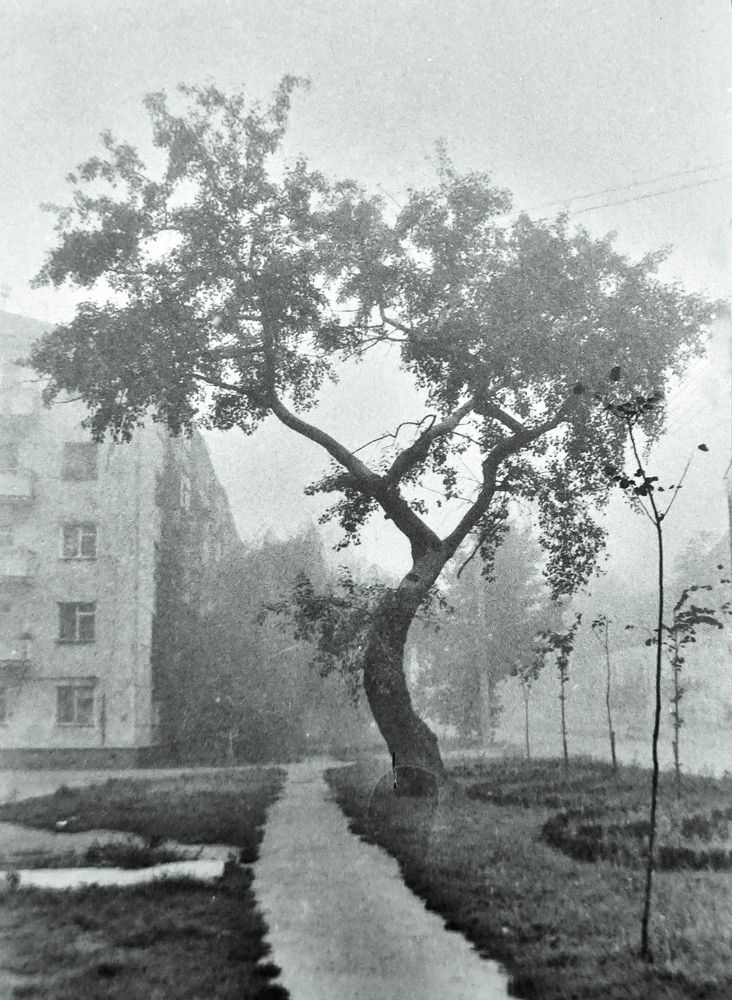 Photograph by михаил