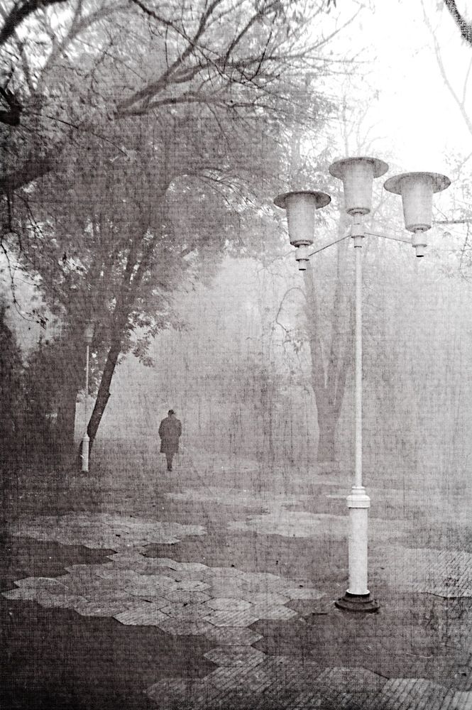 Photograph by михаил