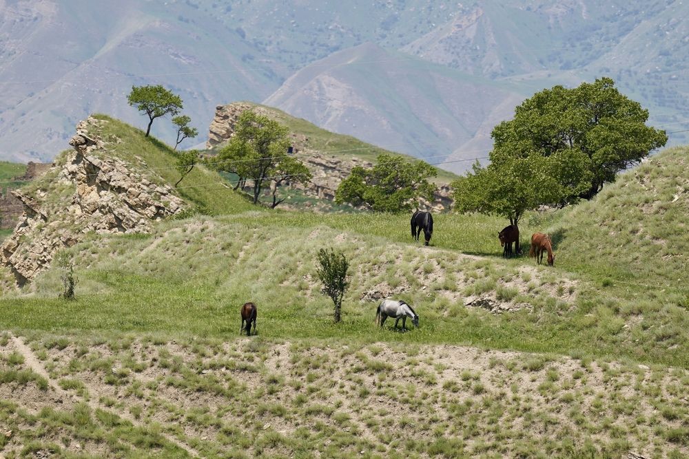 Фотография автора Андрей Груцинов