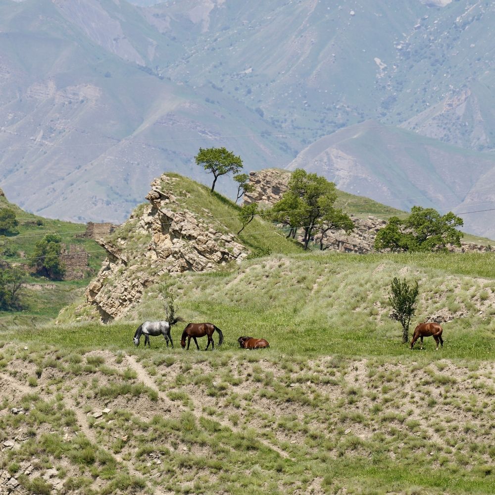 Фотография автора Андрей Груцинов