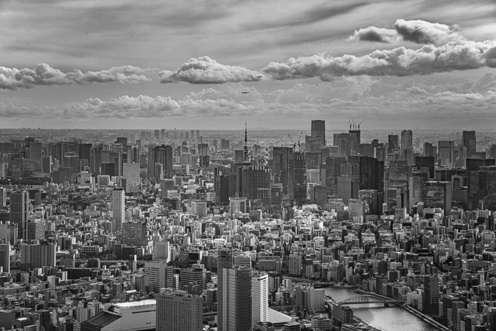 Photograph by 岩本 レイナ