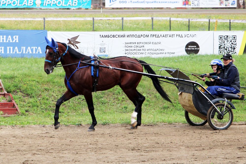 Photograph by Татьяна Иванникова