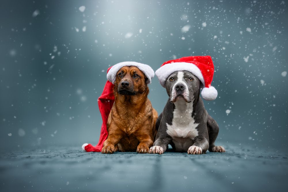 Photograph by Lucie Nermuťová