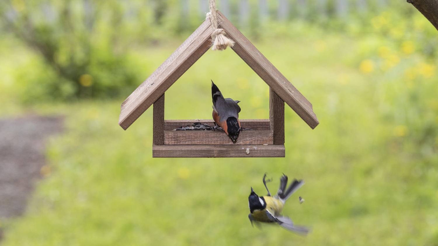 Фотография #12992990