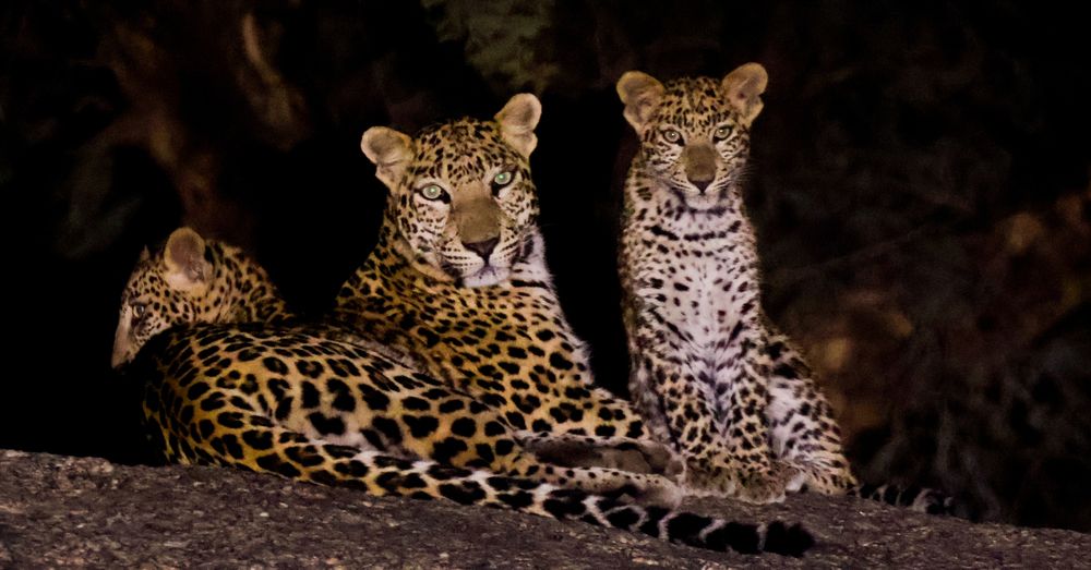 Photograph by Jainamkumar Patel