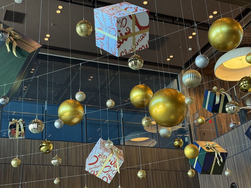 Фотография автора Алла Киселева