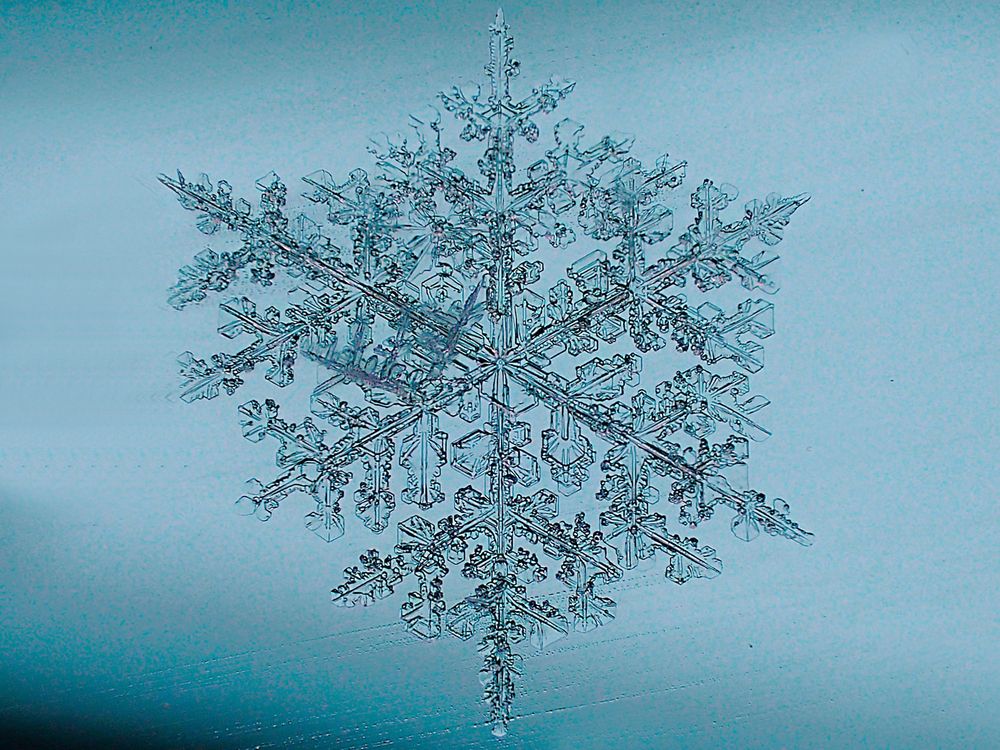 Посланница Снежной королевы