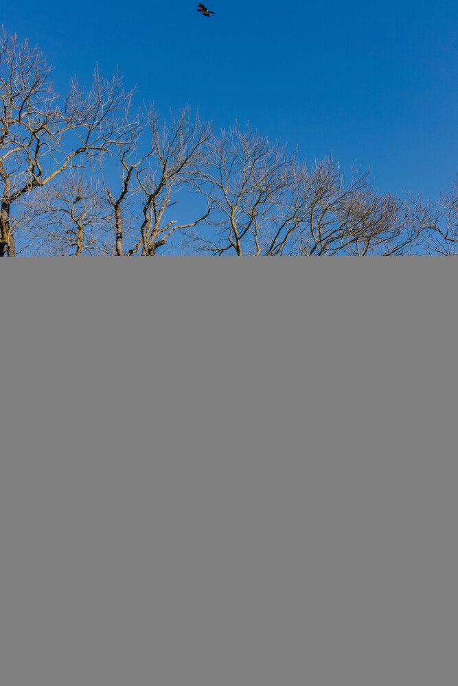 Photograph by Наталья Вялых