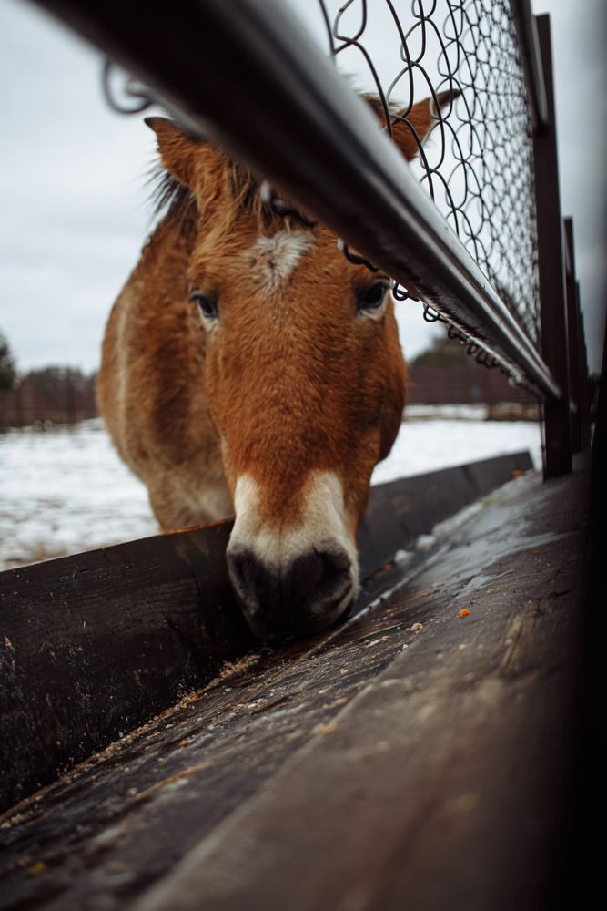 Фотография автора Алина Руденко