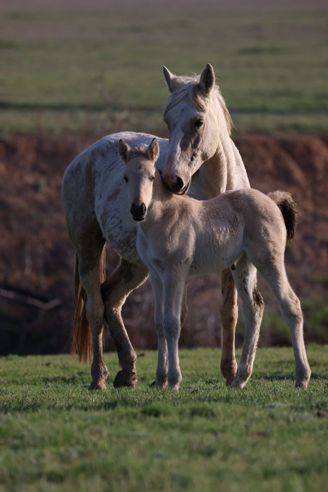 Photograph by Одаренко Ольга