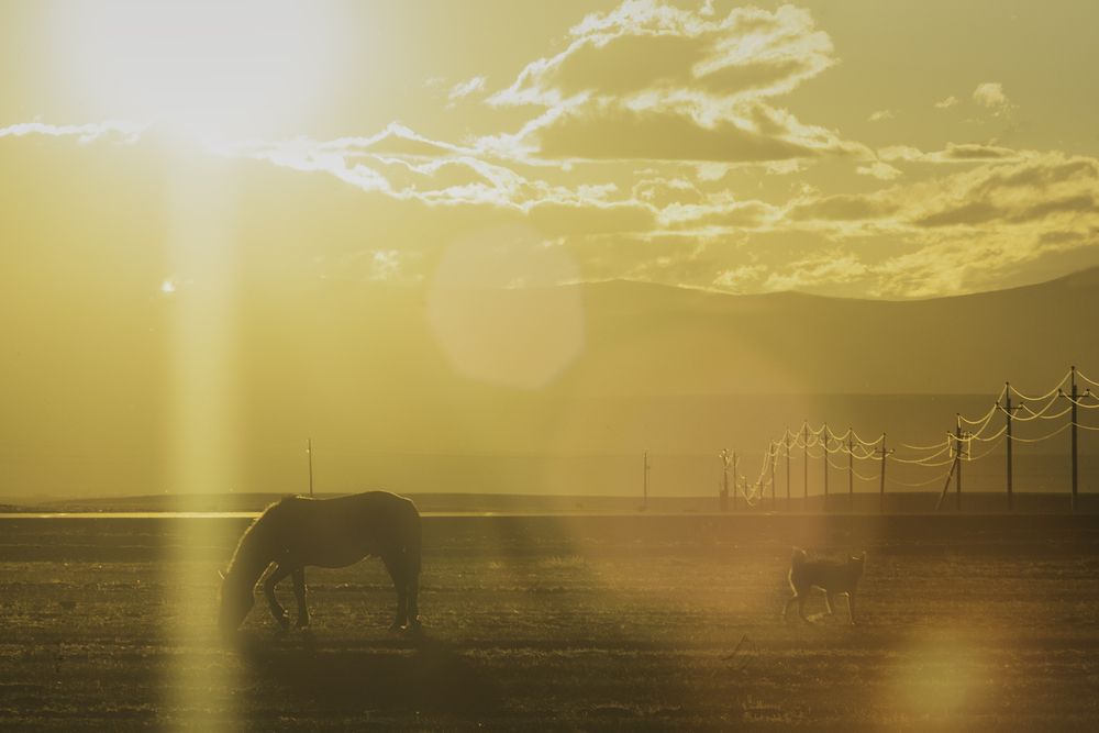 Фотография автора Ксения Зайцева