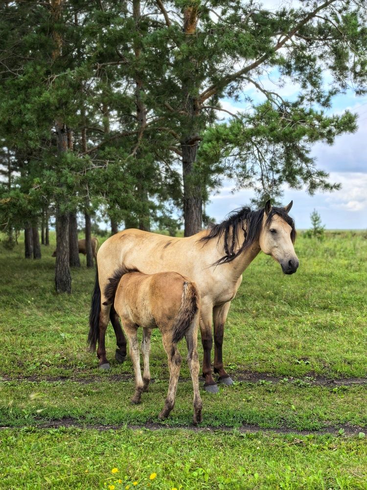 Photograph by Анна Якубинас