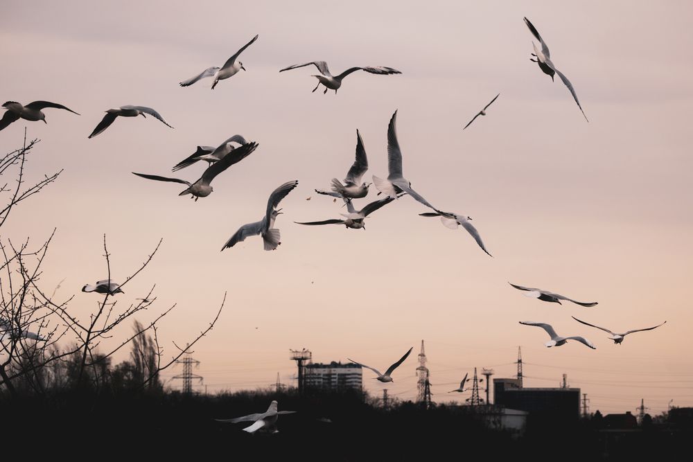 Photograph by Анастасия Богомолова