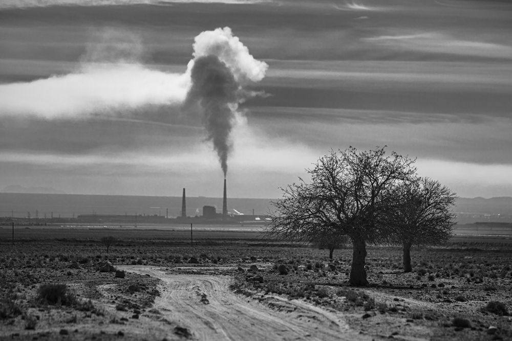 Photograph by Reza Ghasemi