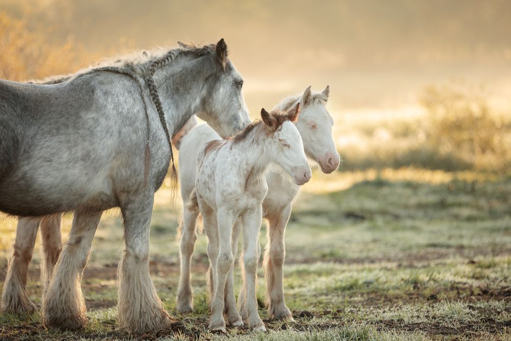 Photograph by Калинина Анна