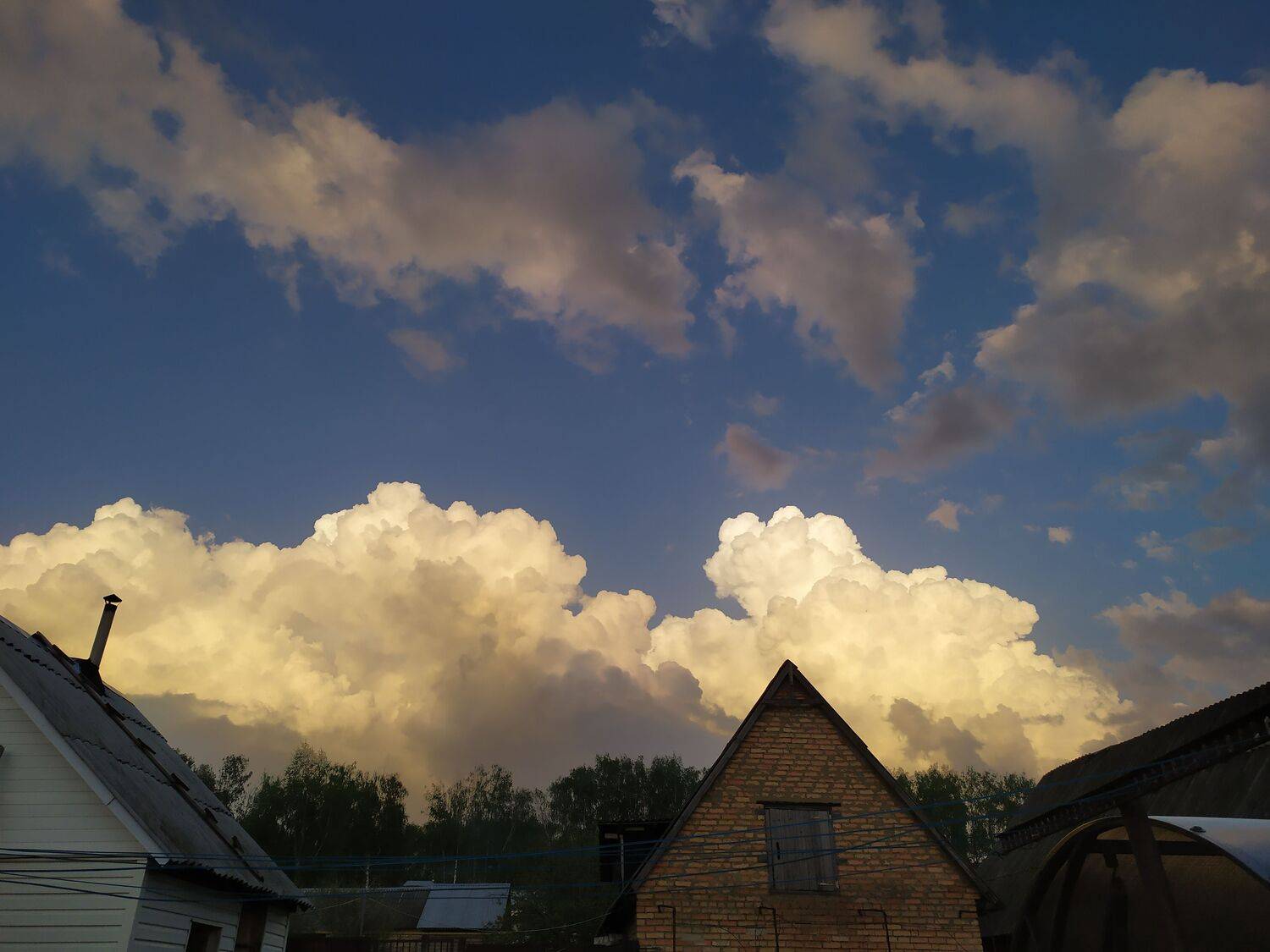 Photo #12993253