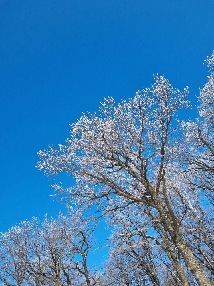 Фотография автора Наталья Агапова