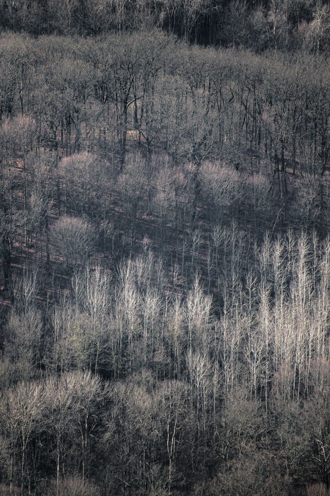 Photograph by Анастасия Богомолова