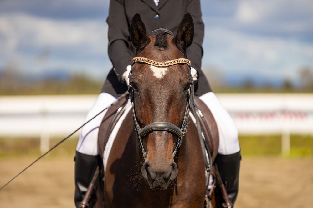 Фотография автора Татьяна Петросьян