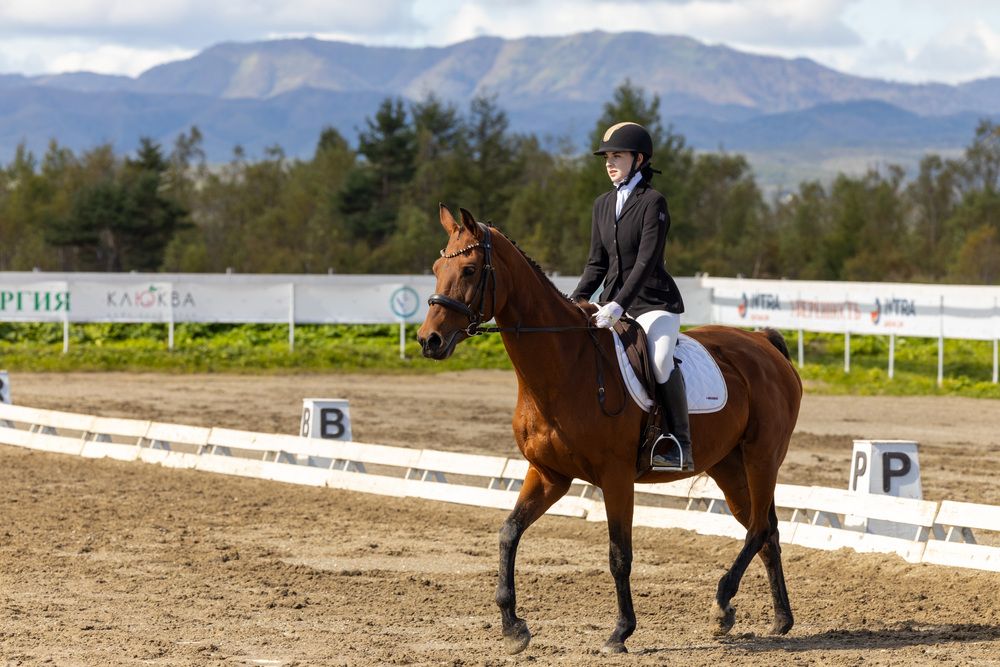 Фотография автора Татьяна Петросьян