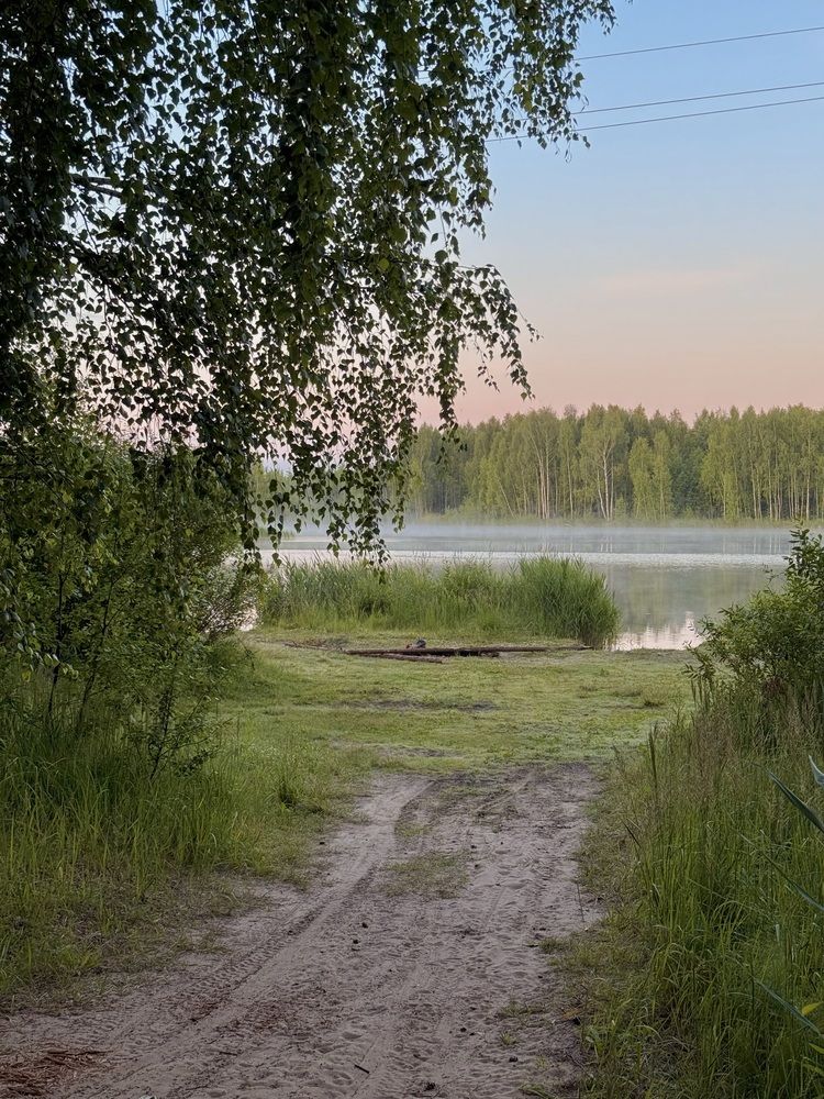 Фотография автора Александра Тяпкина