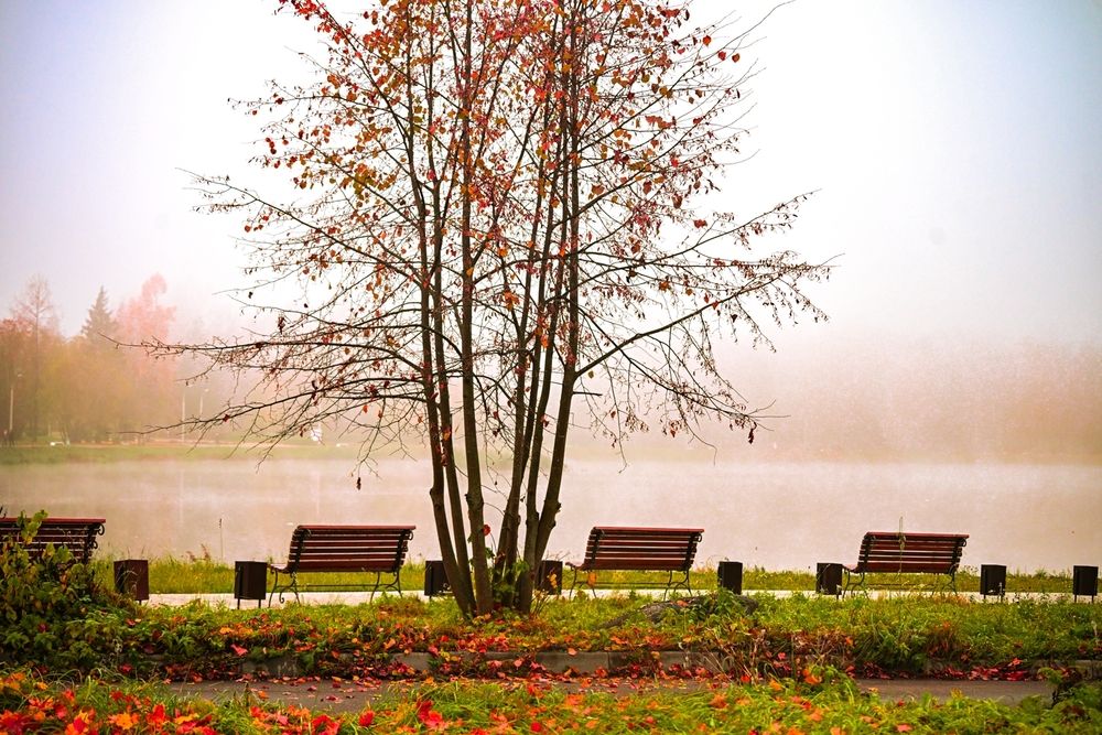 Photograph by Евгений Николаенков