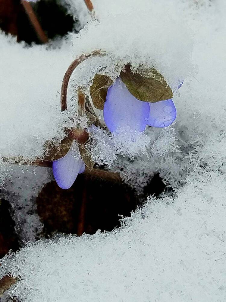 Photograph by Татьяна Солтан