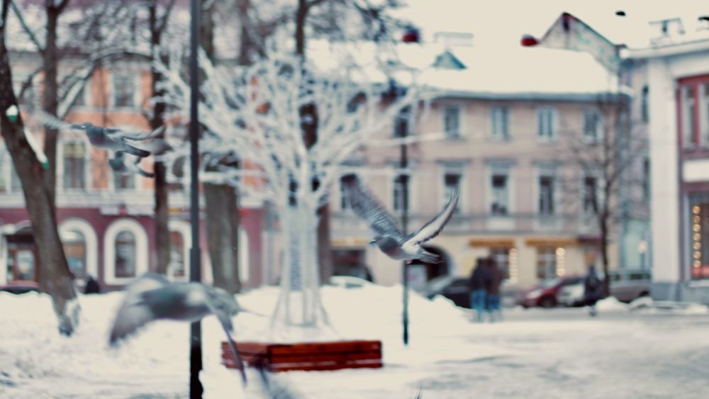 Photograph by Александра Тяпкина