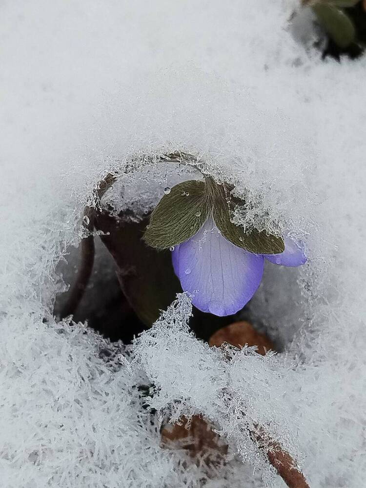 Photograph by Татьяна Солтан