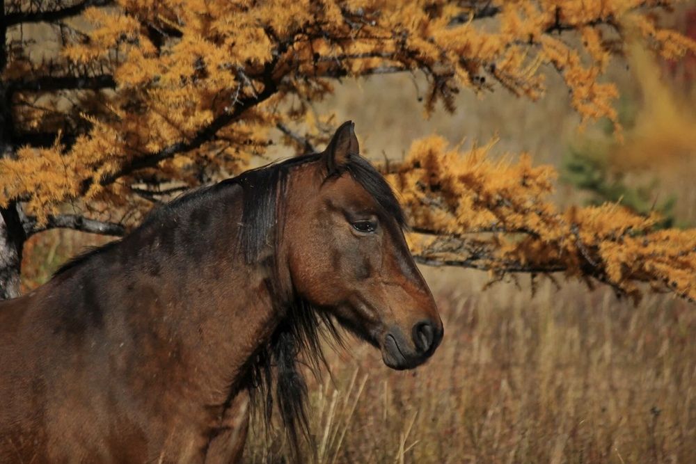 Photograph by Марина Мишутина