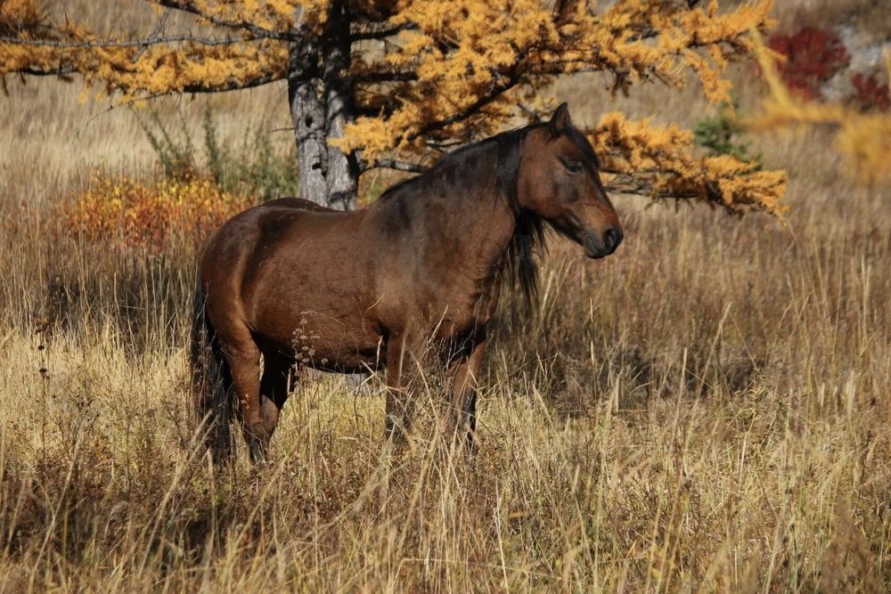 Photograph by Марина Мишутина