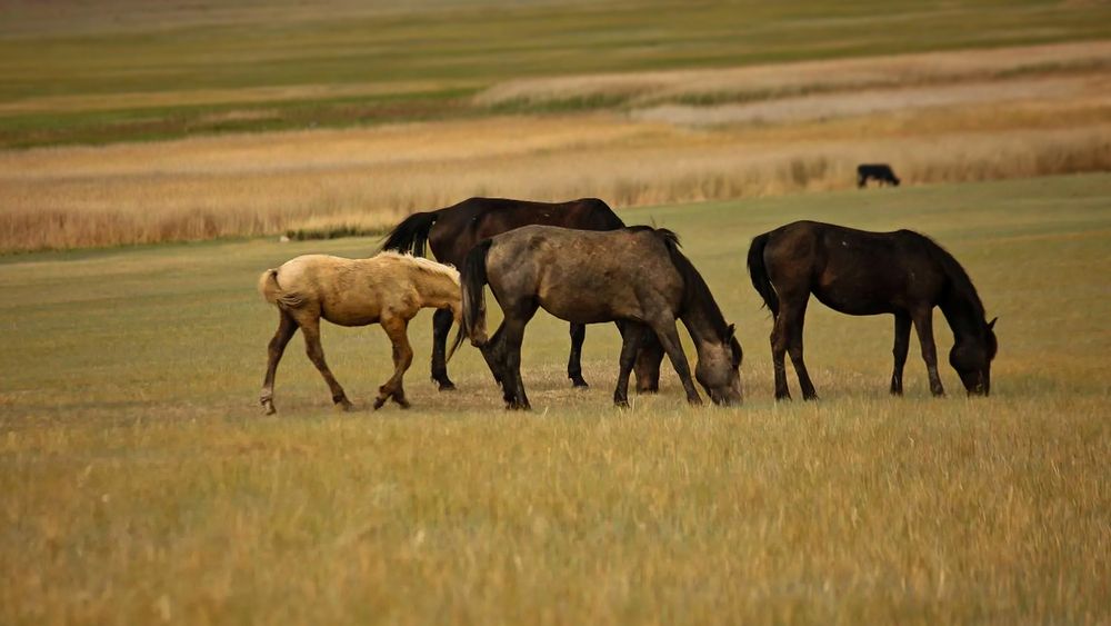 Photograph by Марина Мишутина