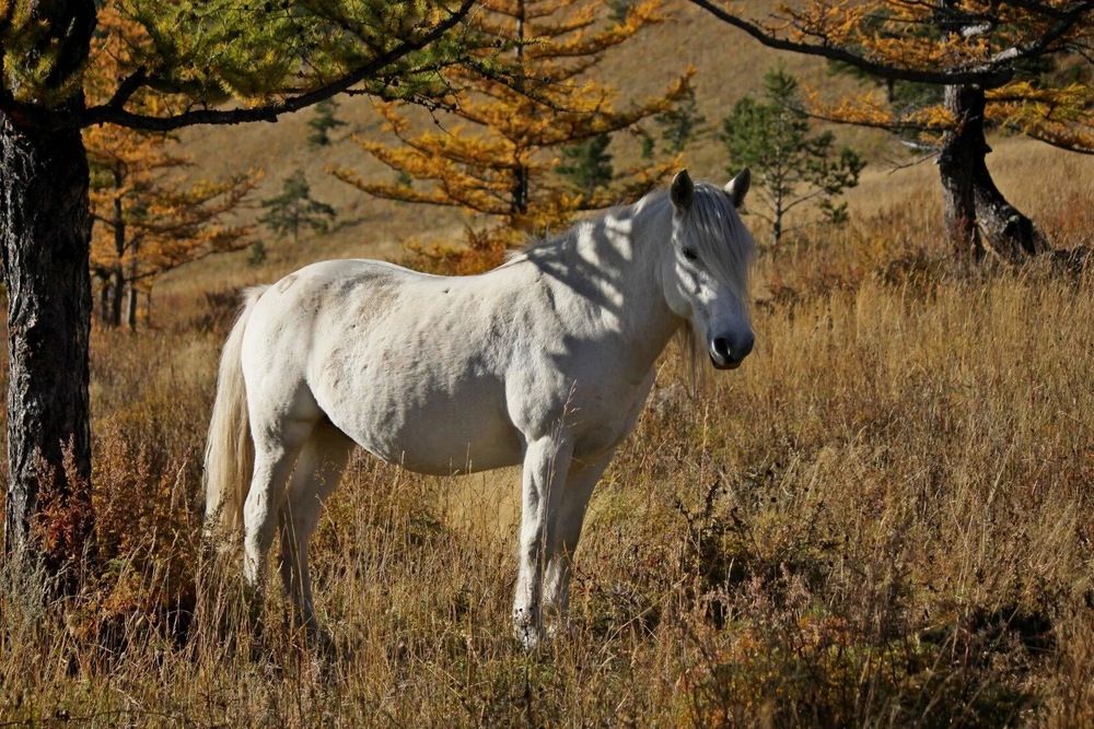Photograph by Марина Мишутина