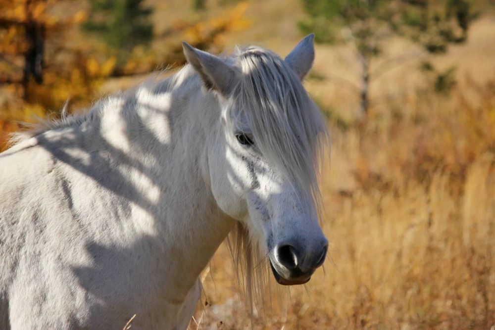 Photograph by Марина Мишутина