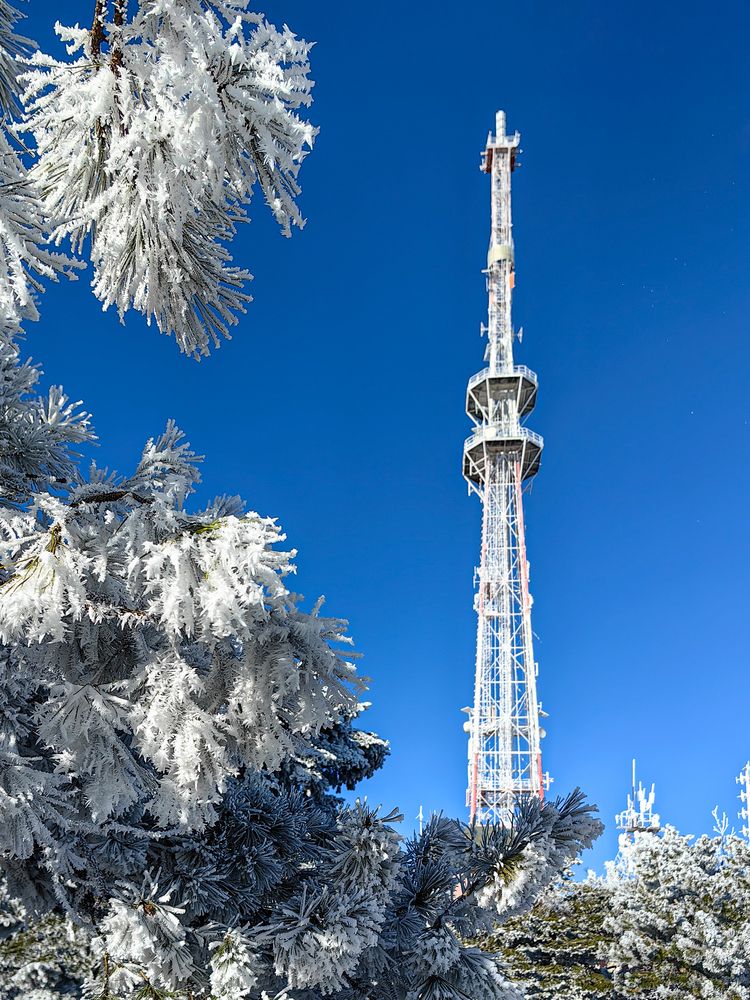 Photograph by Igor Maksimenko