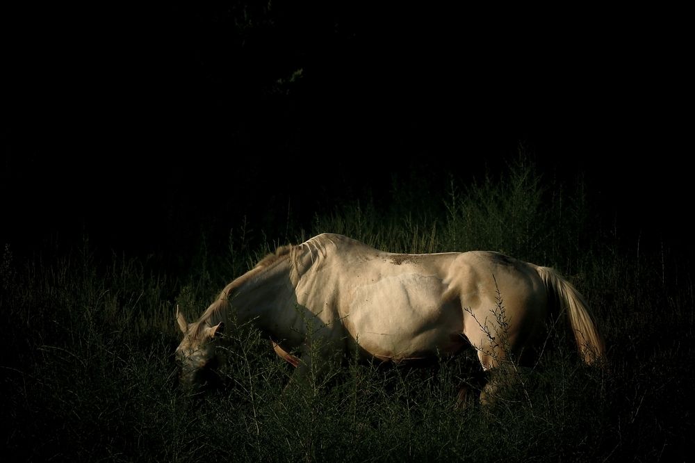 Photograph by fuat cimok