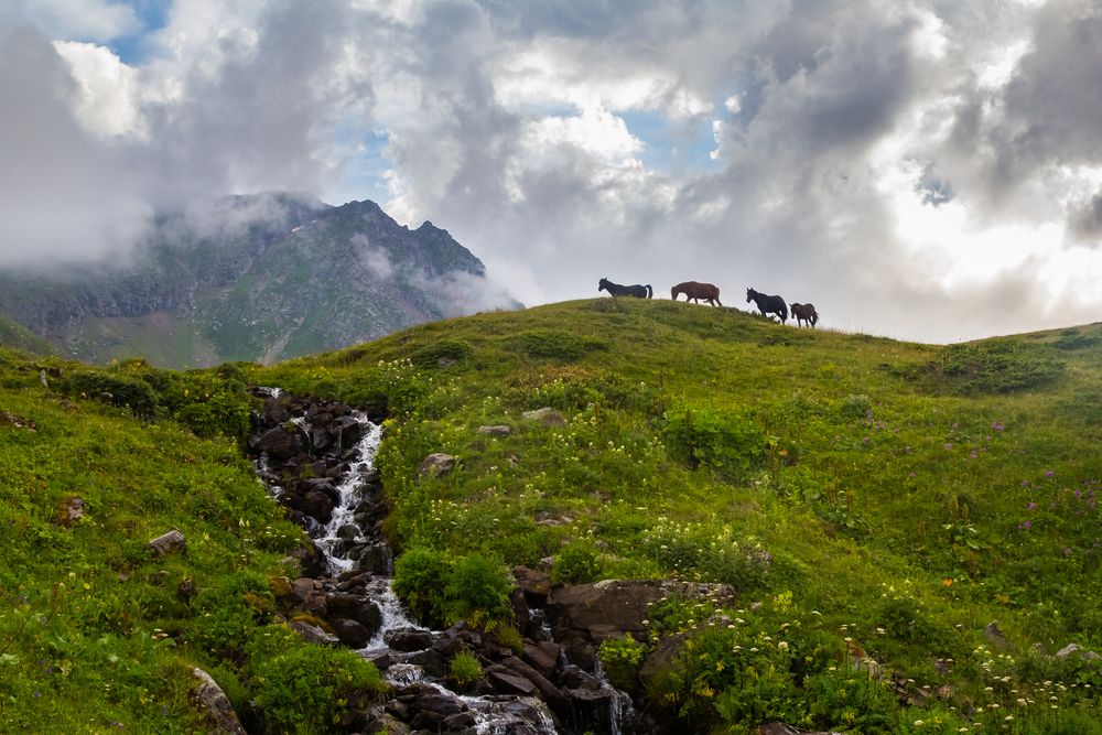 Фотография автора Алексей Соколов